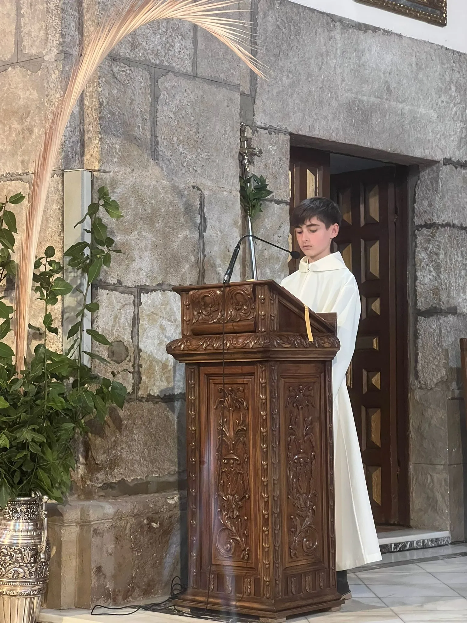 Foto 3 - San Andr&eacute;s se llena de laurel con motivo del Domingo de Ramos