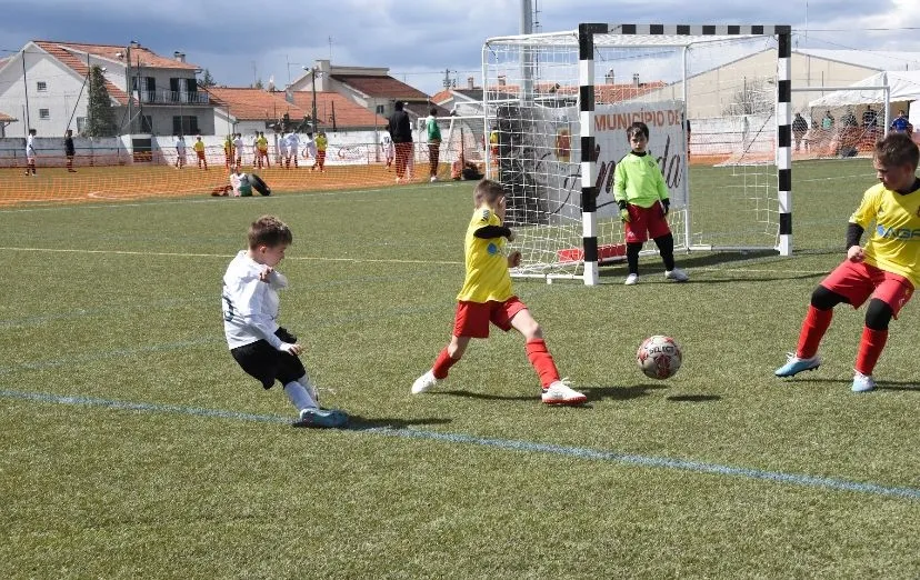 Foto 5 - Pleno de victorias de los equipos del Ciudad Rodrigo CF en la jornada inaugural del Torneo Napoleao