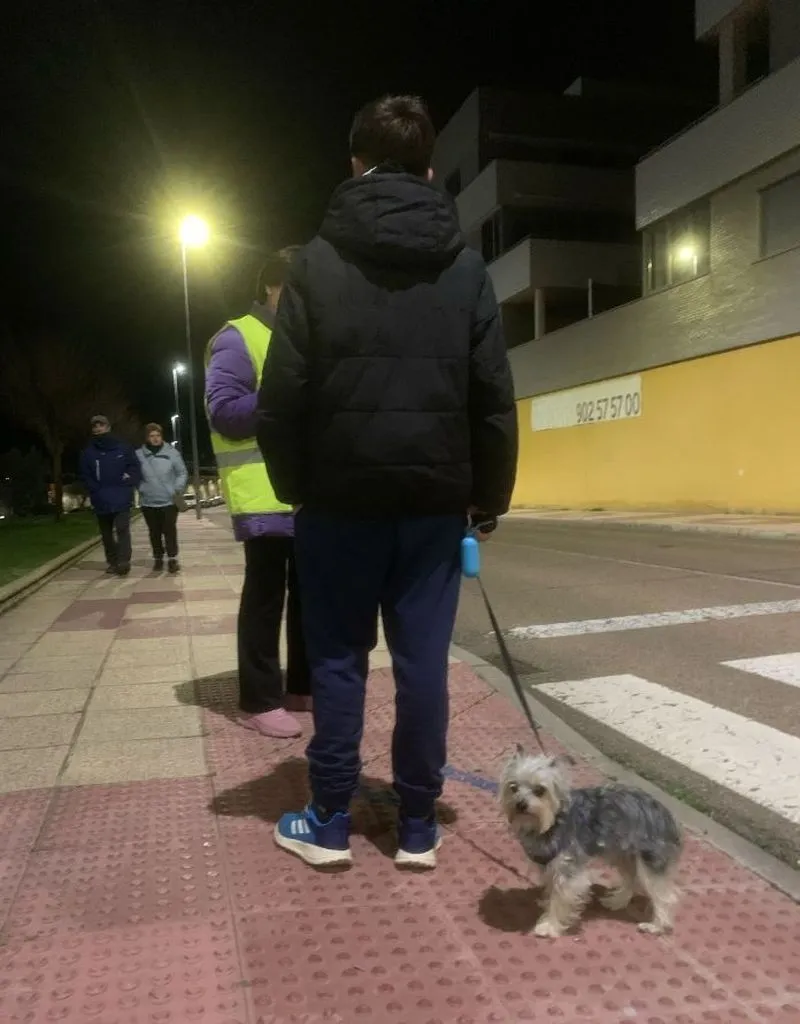 Encuesta canina en Carbajosa de la Sagrada