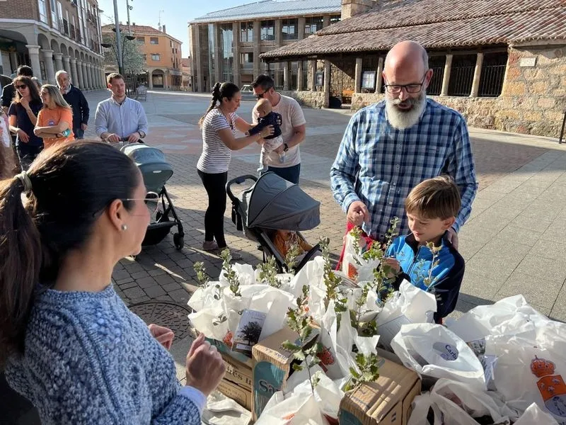 Vecinos de Carbajosa recogen su árbol 