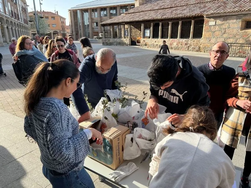Vecinos de Carbajosa recogen su árbol 