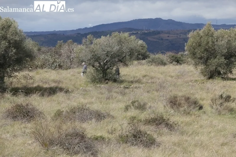 Búsqueda del hombre desparecido en Villarino / CORRAL