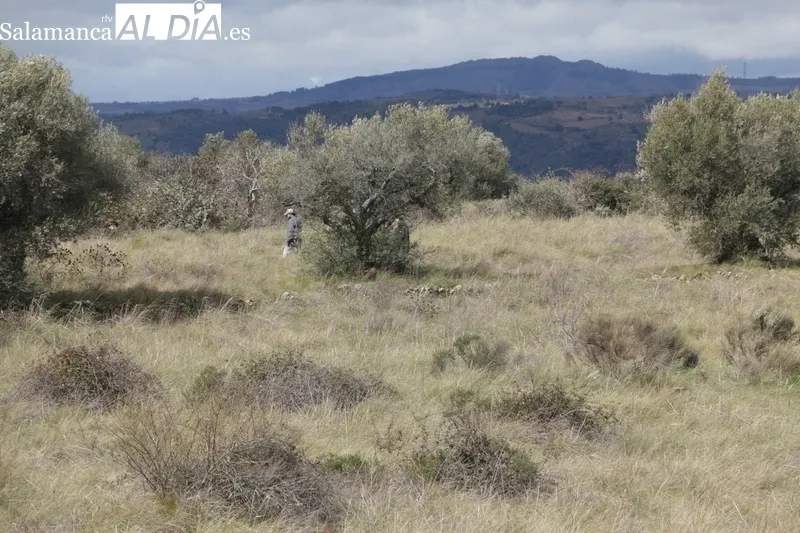 Búsqueda del hombre desparecido en Villarino / CORRAL