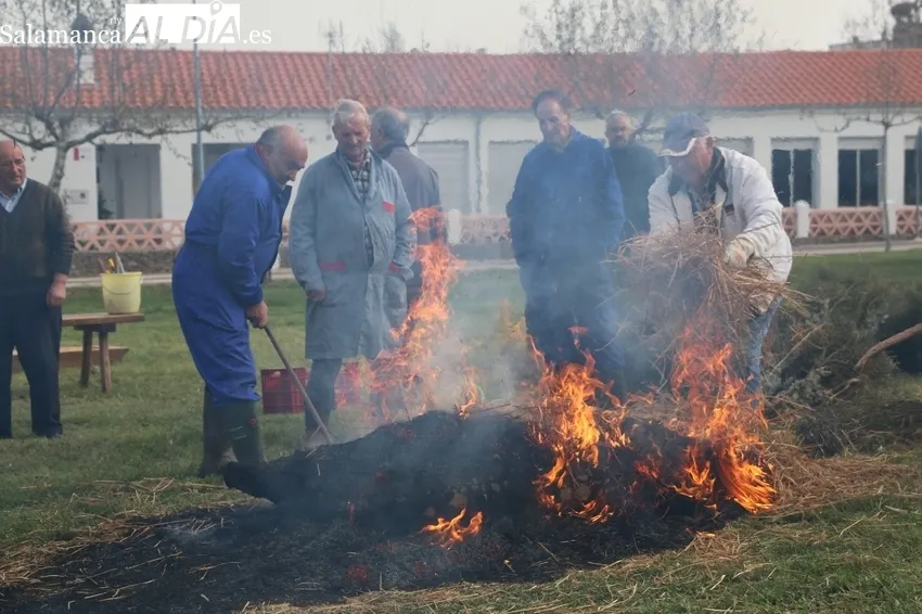 Fiesta de la Matanza Tradicional en Cerezal de Peñahorcada / CORRAL