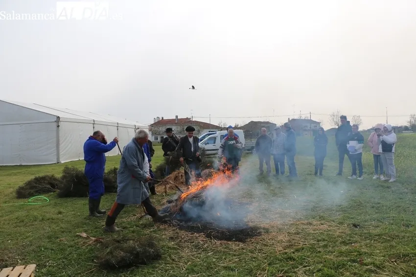 Fiesta de la Matanza Tradicional en Cerezal de Peñahorcada / CORRAL