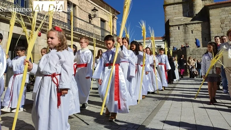 Procesión de Ramos del año pasado en Vitigudino / CORRAL