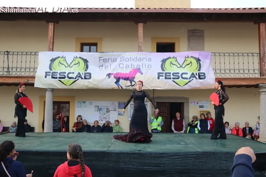 Los paseos en calesa y la actuación del grupo de flamenco Alboreá animaban la tarde en Bañobárez / CORRAL