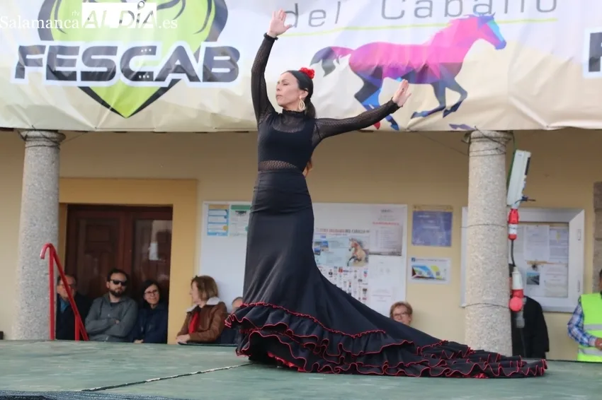 Los paseos en calesa y la actuación del grupo de flamenco Alboreá animaban la tarde en Bañobárez / CORRAL
