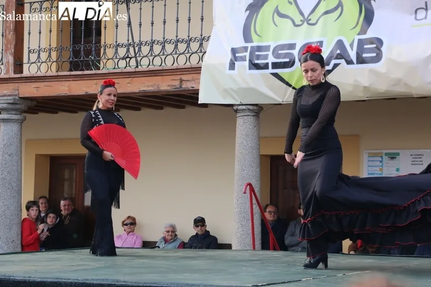 Los paseos en calesa y la actuación del grupo de flamenco Alboreá animaban la tarde en Bañobárez / CORRAL