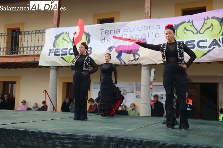 Los paseos en calesa y la actuación del grupo de flamenco Alboreá animaban la tarde en Bañobárez / CORRAL