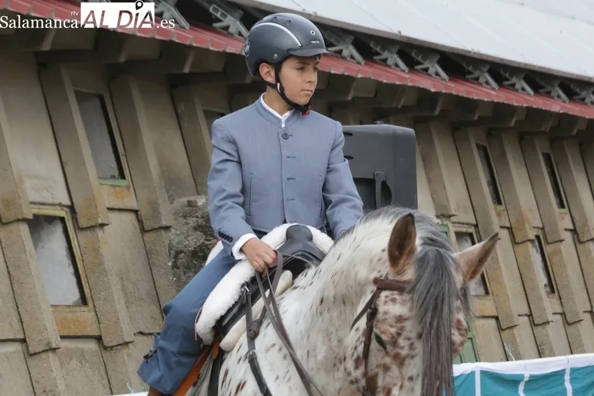 Éxito de público en la III Feria Solidaria del Caballo celebrada este fin de semana en Bañobárez / CORRAL