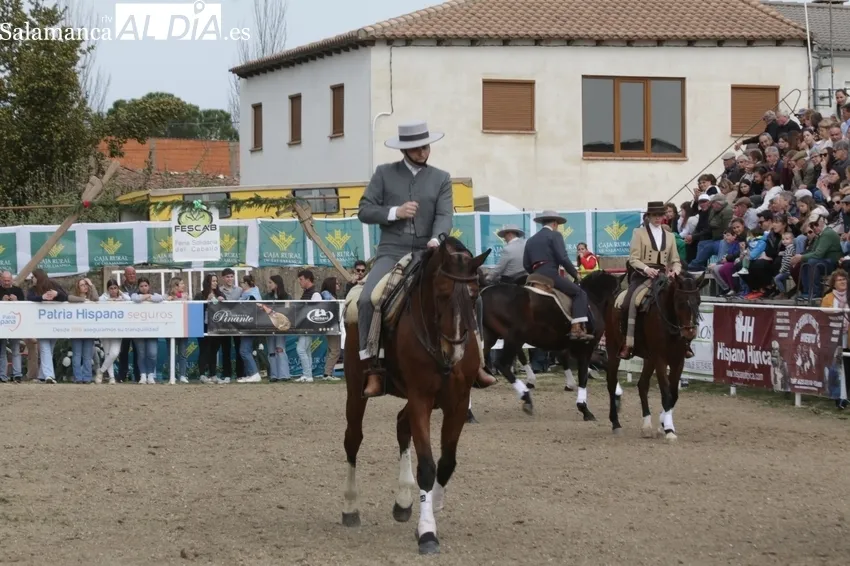 Éxito de público en la III Feria Solidaria del Caballo celebrada este fin de semana en Bañobárez / CORRAL
