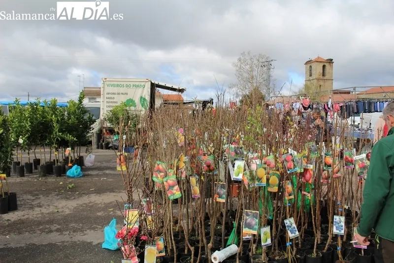 Mucho frío en Trabanca durante el mercadillo de este mes de marzo / SILVESTRE