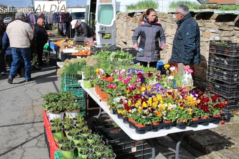 Mucho frío en Trabanca durante el mercadillo de este mes de marzo / SILVESTRE