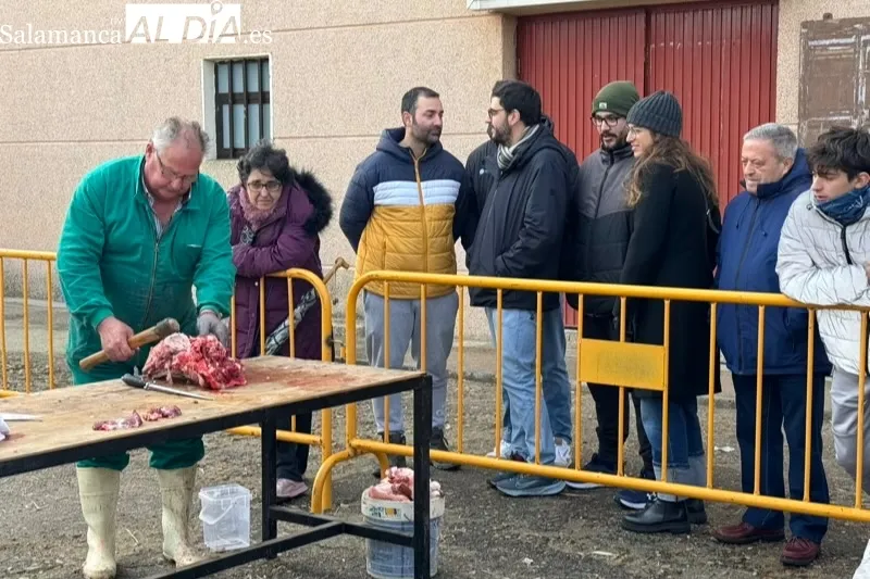 Macotera celebraba este sábado su séptima Matanza Tradicional
