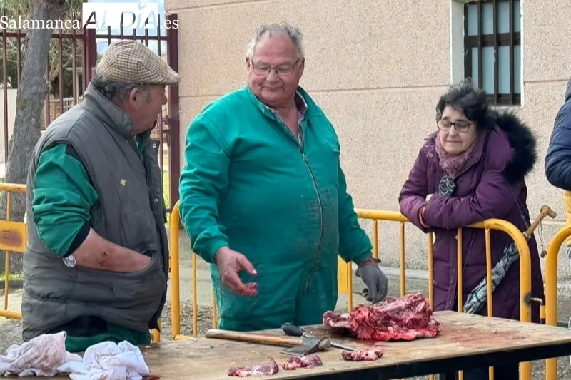 Macotera celebraba este sábado su séptima Matanza Tradicional