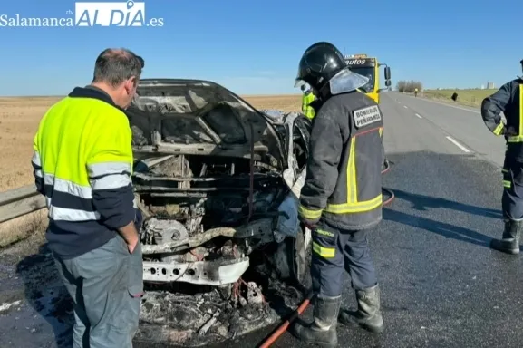 Foto 2 - Un fuerte incendio calcina un coche en la N-501