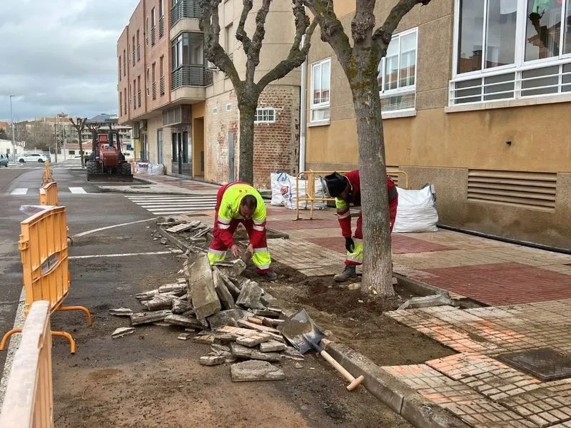 Renovación de la red de agua en varias calles de Carbajosa