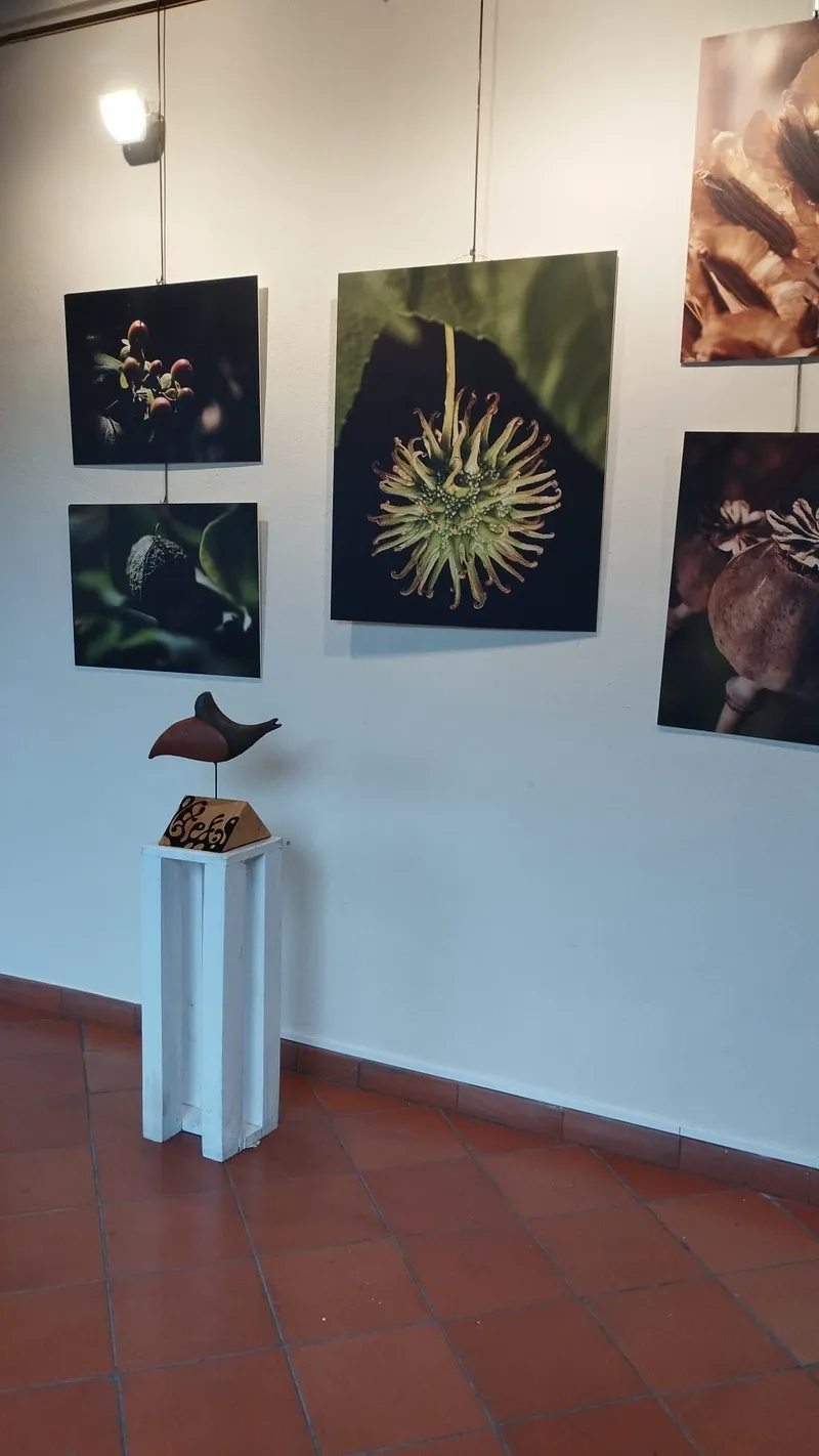Exposición colectiva 