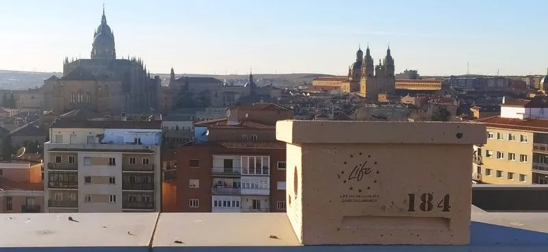Caja nido.