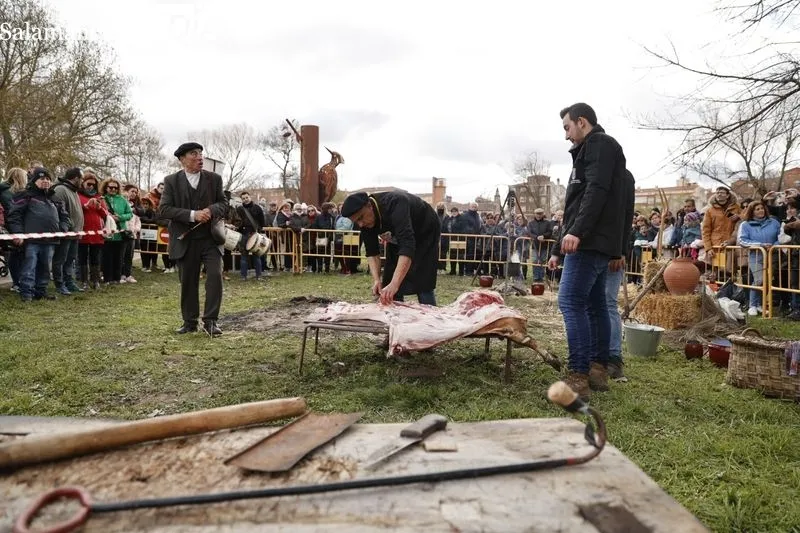 Matanza en la Isla del Soto. Fotos: David Sañudo.