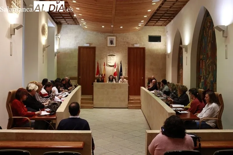 Mesa de la Discapacidad celebrada esta mañana en el Salón de Plenos del Ayuntamiento de Salamanca. Foto de Raúl Riego