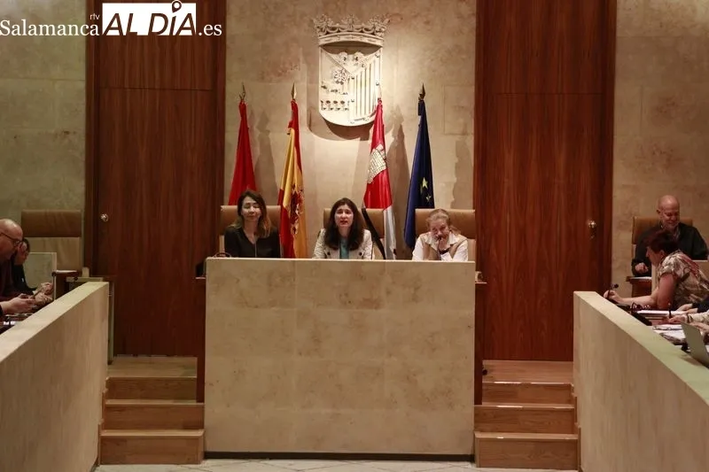 Mesa de la Discapacidad celebrada esta mañana en el Salón de Plenos del Ayuntamiento de Salamanca. Foto de Raúl Riego