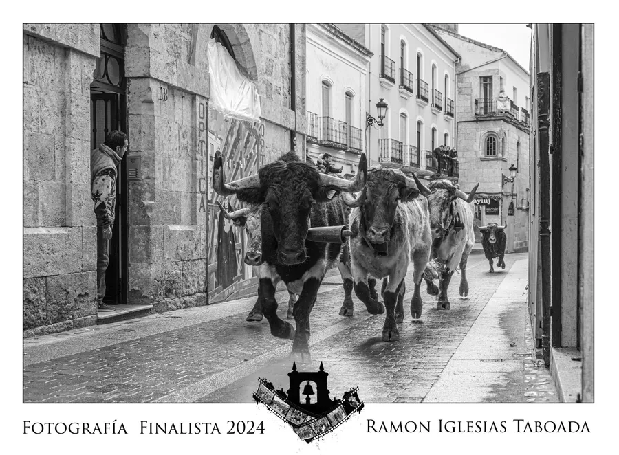 Foto 10 - Una imagen de &Aacute;ngel Manuel Serrano, portada del Calendario Carnavalero 2024/2025