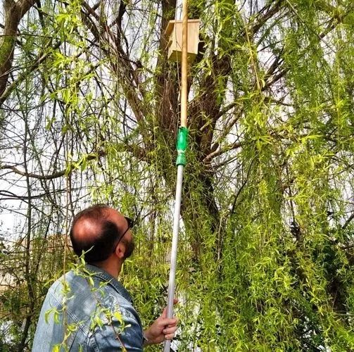 Foto 4 - Taller de cajas nido con &lsquo;Renaturaliza Alba&rsquo;