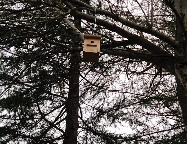 Foto 3 - Taller de cajas nido con &lsquo;Renaturaliza Alba&rsquo;