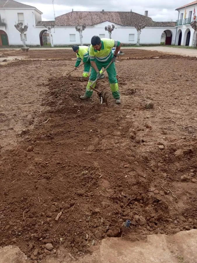 Foto 5 - La Plaza de &Aacute;gueda cambia totalmente de aspecto
