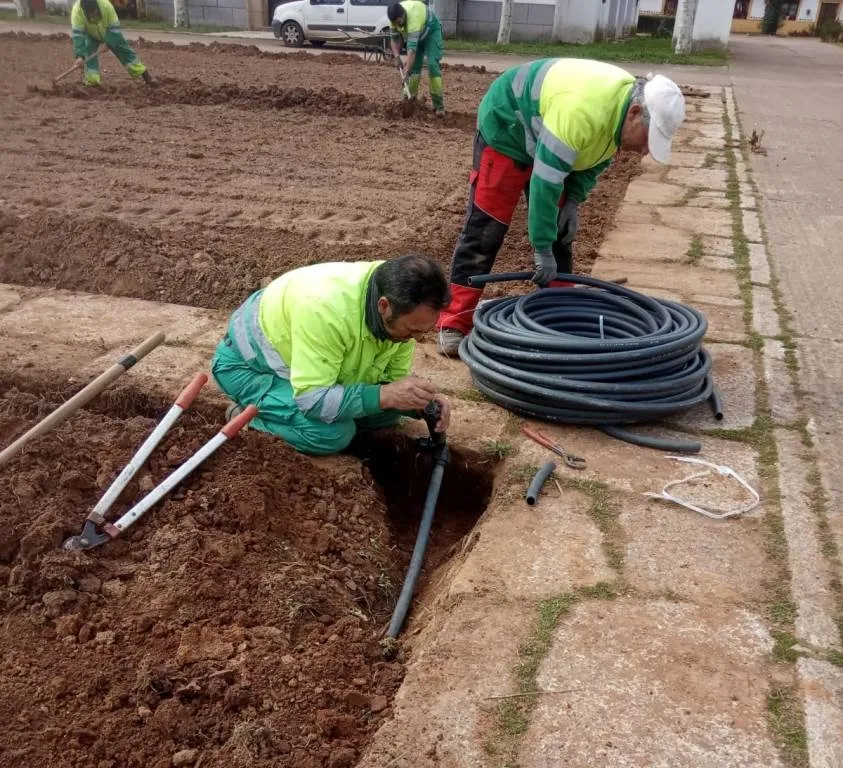 Foto 3 - La Plaza de &Aacute;gueda cambia totalmente de aspecto
