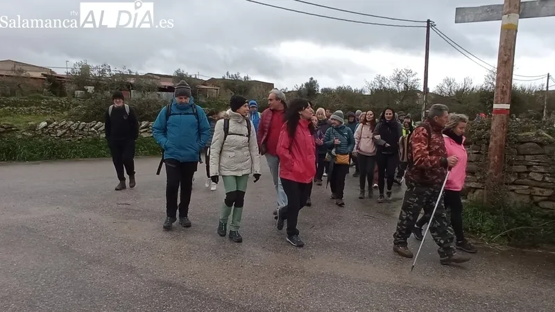 Cerca de 150 senderistas toman la salida en Sobradillo en la VII Ruta de Senderismo / ESTER CORREDERA