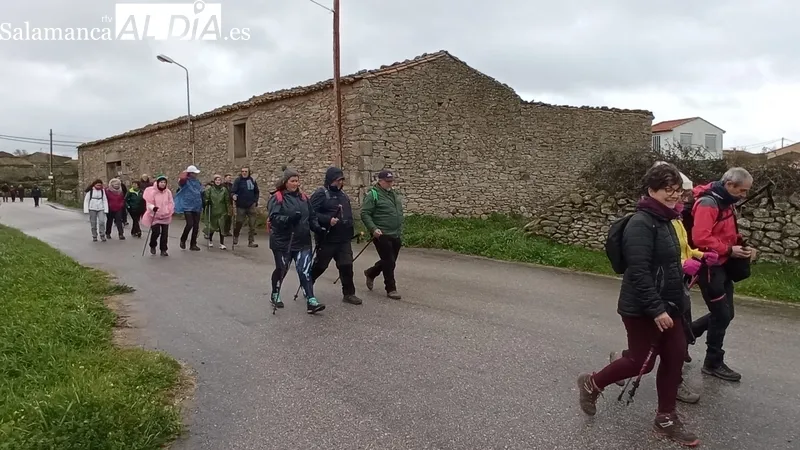 Cerca de 150 senderistas toman la salida en Sobradillo en la VII Ruta de Senderismo / ESTER CORREDERA