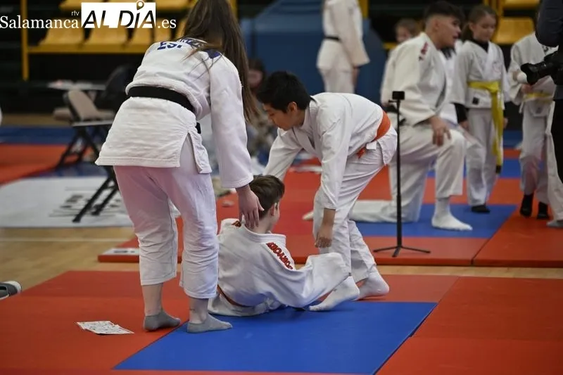 Galería de imágenes / Fotos: SALAMANCArtv AL DÍA