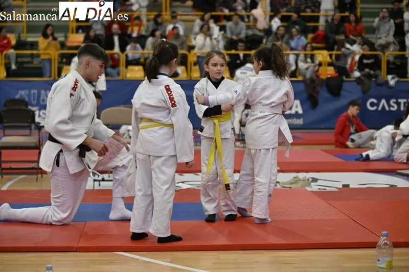 Galería de imágenes / Fotos: SALAMANCArtv AL DÍA