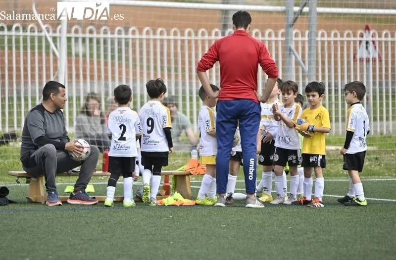 Galería de imágenes / Fotos: SALAMANCArtv AL DÍA