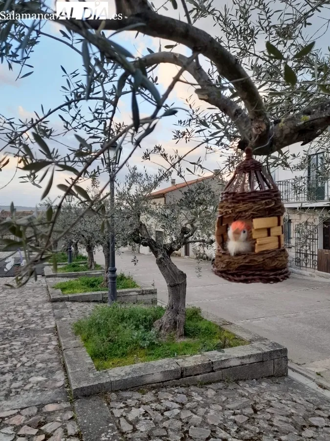 Iniciativa de Turismo San Felices y de la Asociación Cultural Alhóndiga