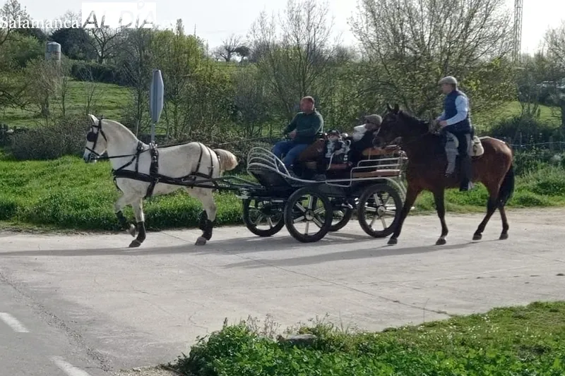 Ruta a caballo de la III Feria del Caballo en Bañobárez / FOTOS:PAQUI ARROYO