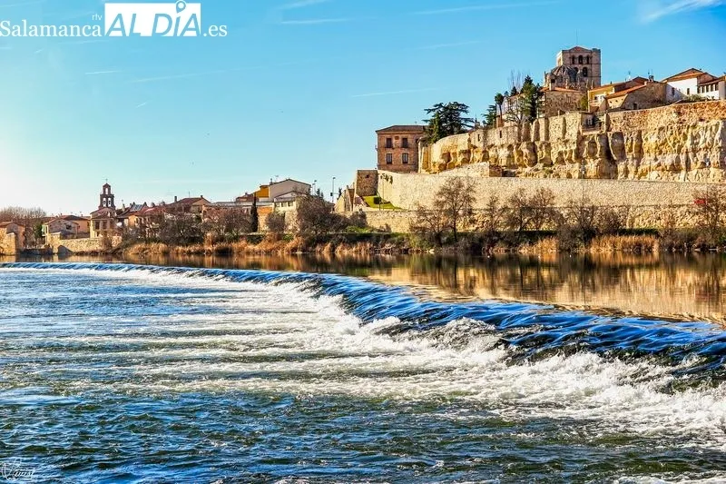Zamora. Foto Manuel Lamas