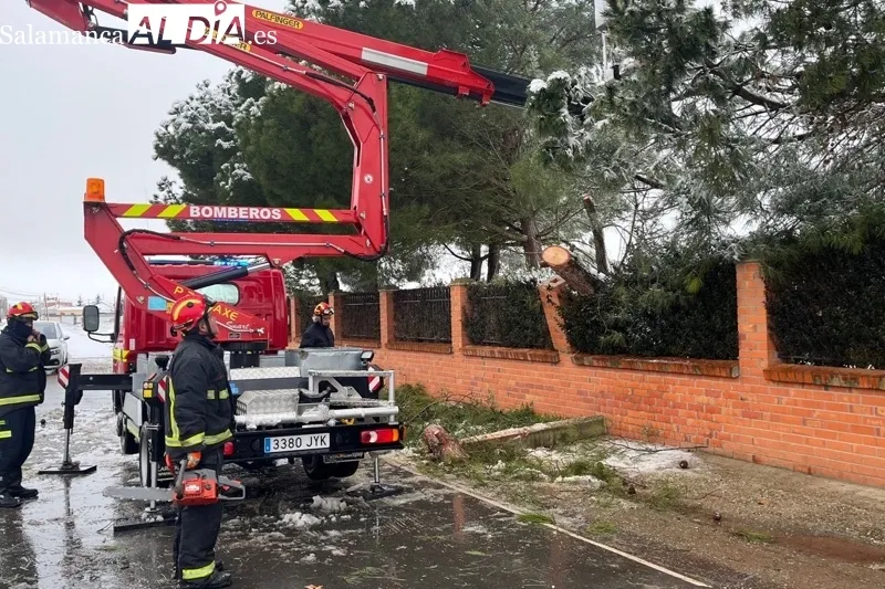 La potente nevada dejaba incidencias en puntos como las Verónicas 