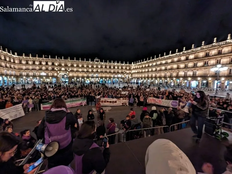 Manifestación convocada por el Movimiento Feminista de Salamanca por las calles de la capital salmantina. Fotos: David Sañudo