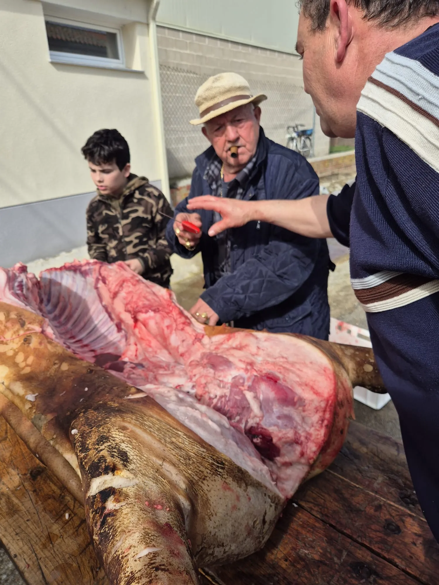 Aldeaseca celebra su IX Matanza Típica