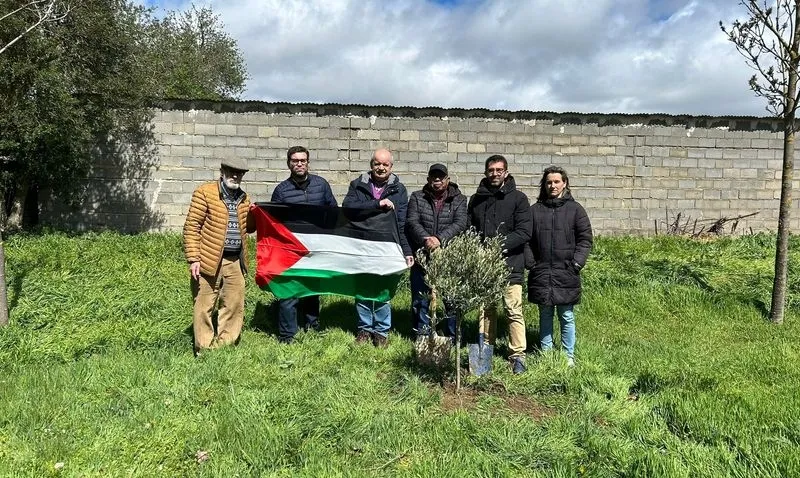 Plantación del olivo en Miranda del Azán por la Asociación Hispano Árabe de Salamanca en colaboración con el Ayuntamiento de la localidad