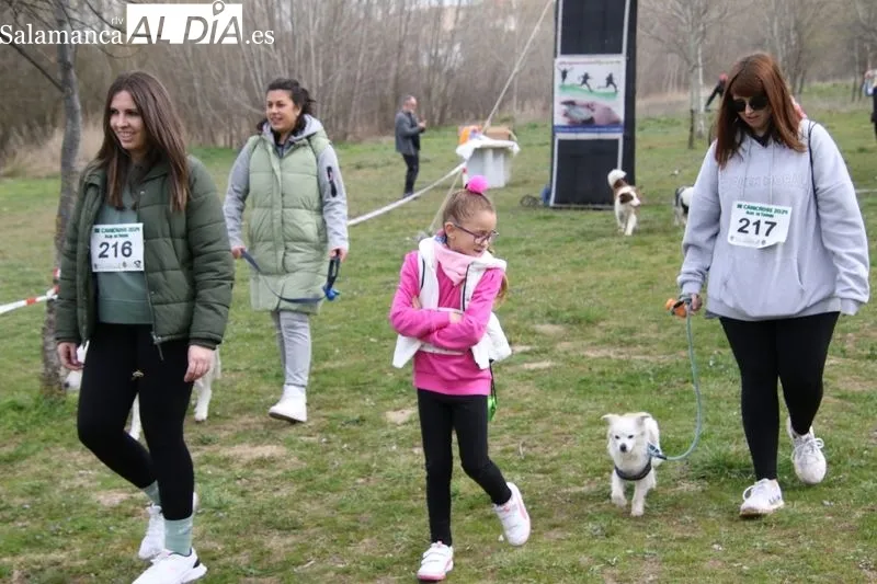 Foto 6 - Gran ambiente en Alba de Tormes con la celebraci&oacute;n de su tercer canicross