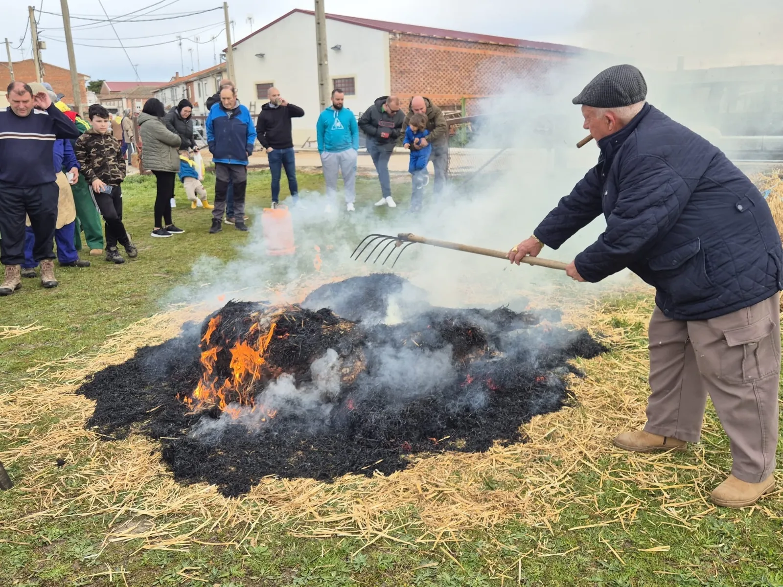 Aldeaseca celebra su IX Matanza Típica