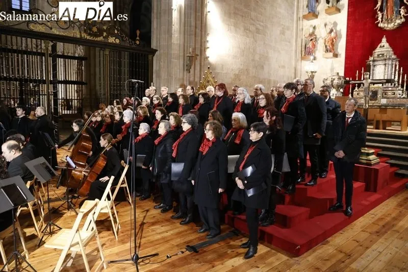 Concierto ‘El Miserere’ de Doyagüe en la Catedral de Salamanca | FOTOS: David Sañudo 