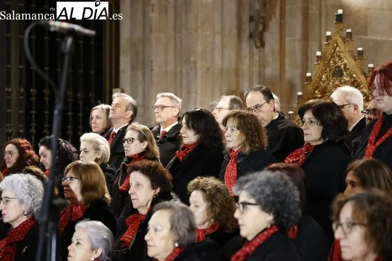 Concierto ‘El Miserere’ de Doyagüe en la Catedral de Salamanca | FOTOS: David Sañudo 