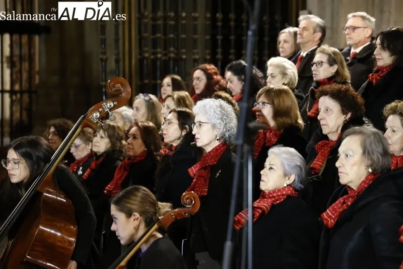 Concierto ‘El Miserere’ de Doyagüe en la Catedral de Salamanca | FOTOS: David Sañudo 