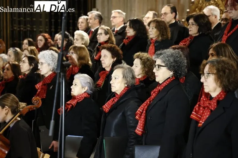 Concierto ‘El Miserere’ de Doyagüe en la Catedral de Salamanca | FOTOS: David Sañudo 